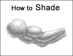 How to Shade Drawings Exercises for Practice