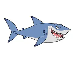 How to draw a Great White Shark cartoon