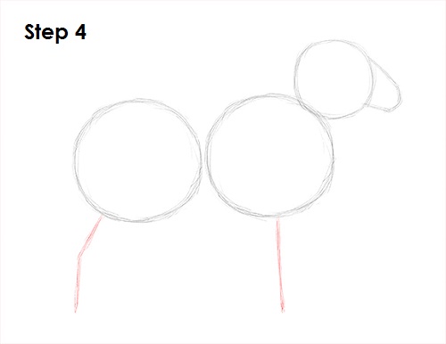 Sheep Drawing 4 Draw Sheep 4