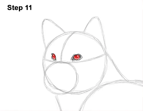 How to Draw a Shiba Inu Puppy Dog 11