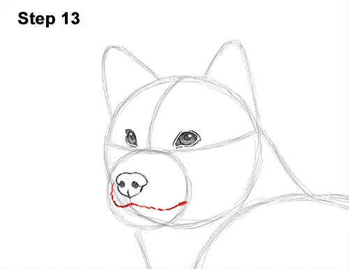 How to Draw a Shiba Inu Puppy Dog 13