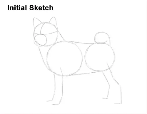 How to Draw a Shiba Inu Puppy Dog Guide Lines