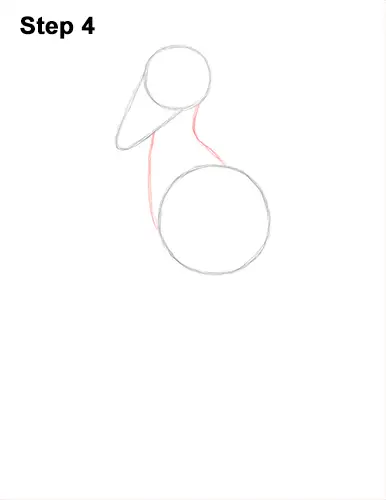 How to Draw a Shoebill Whale-headed Stork Bird 4