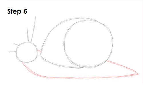 Draw Snail 5