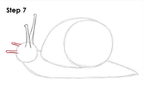 Snail Drawing 7 Draw Snail 7