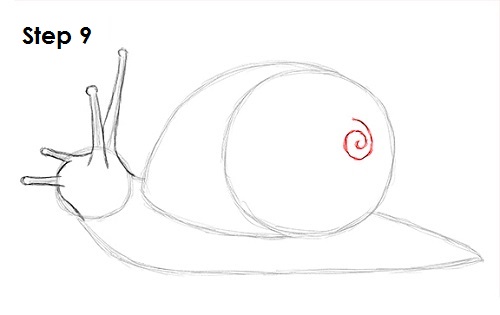 Snail Drawing 9 Draw Snail 9