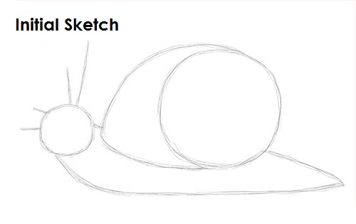 Snail Drawing Sketch Draw Snail Sketch