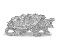 How to Draw an Alligator Snapping Turtle Side View