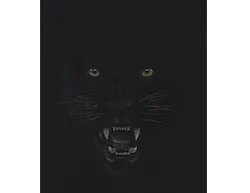 Black Panther Portrait Head