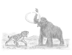 Smilodon Saber-Toothed Cat vs. Mammoth Special Drawing