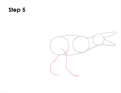 Spinosaurus Dinosaur Drawing 5 Draw Spinosaurus Dinosaur 5