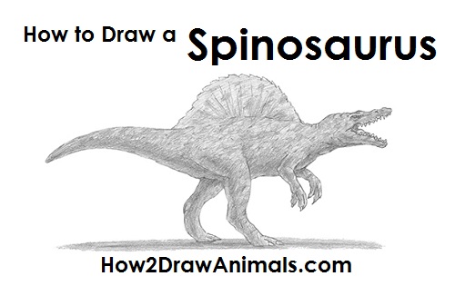 Spinosaurus Dinosaur Drawing Draw Spinosaurus Dinosaur