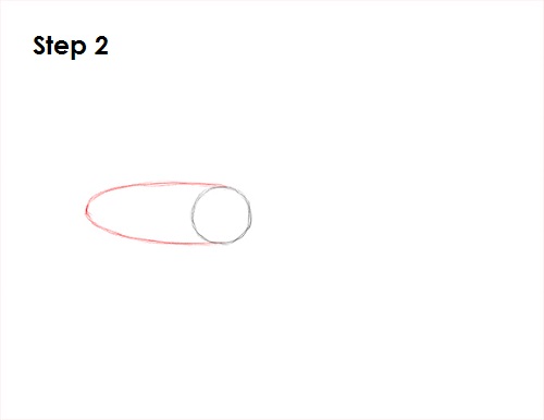 Squid Drawing 2 Draw Squid 2