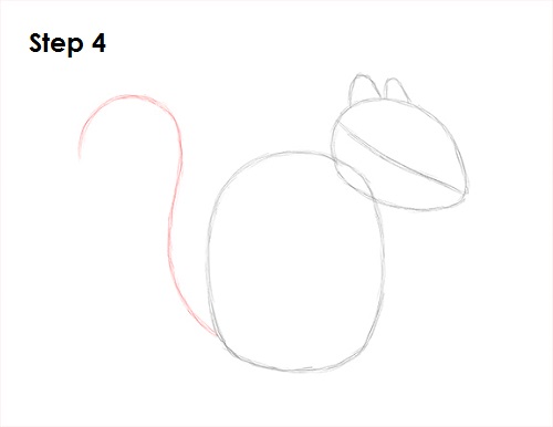 Draw Squirrel 4