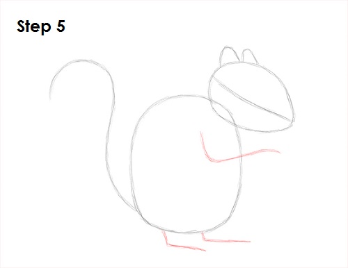 Draw Squirrel 5