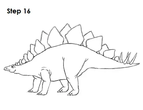 Stegosaurus Dinosaur Drawing 16 Draw Stegosaurus 16
