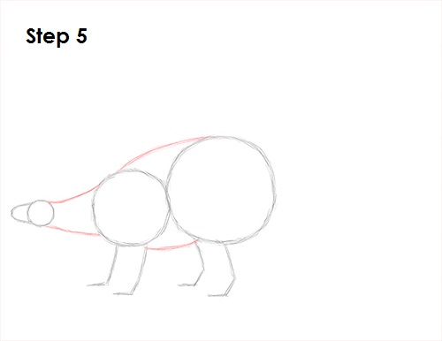 Draw Stegosaurus 5