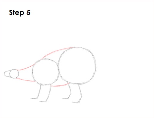 Stegosaurus Dinosaur Drawing 5 Draw Stegosaurus 5