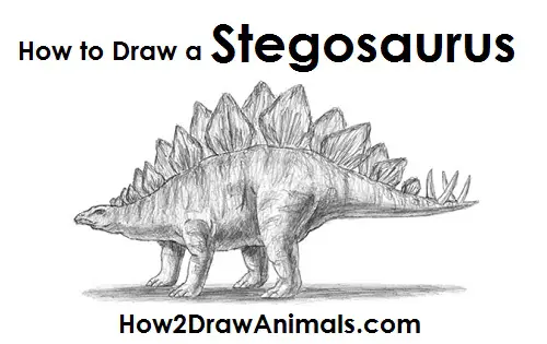 Stegosaurus Dinosaur Drawing Draw Stegosaurus
