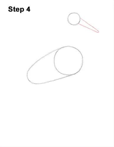 How to Draw a White Stork Bird Side View 4