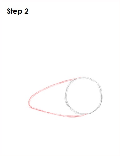 Swan Drawing 2 Draw Swan 2