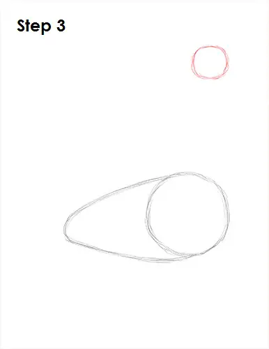 Swan Drawing 3 Draw Swan 3