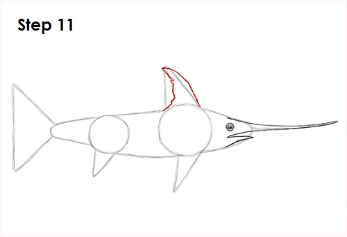Swordfish Drawing 11 Draw Swordfish 11