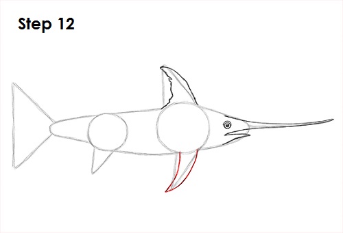 Swordfish Drawing 12 Draw Swordfish 12