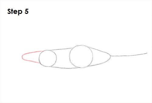 Swordfish Drawing 5 Draw Swordfish 5