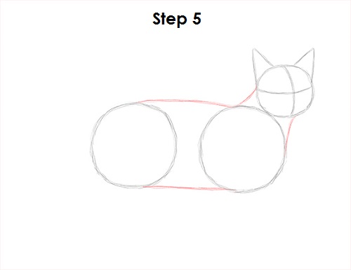 Draw Tabby Cat 5