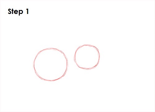 Tarantula Spider 1 Draw Tarantula 1