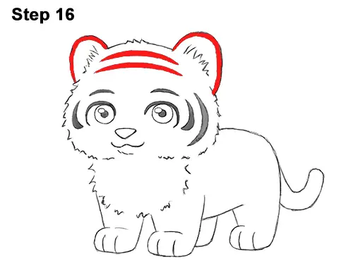Draw Cartoon Mini Little Tiger Cub 16