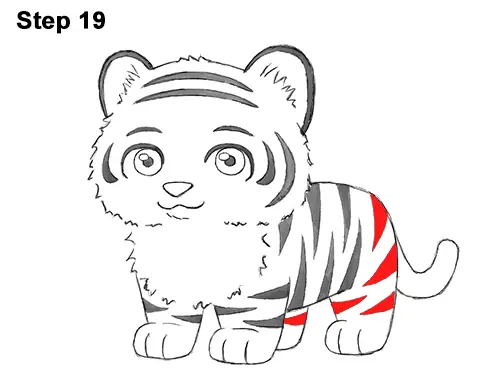 Draw Cartoon Mini Little Tiger Cub 19