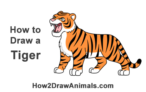 How to Draw Cartoon Tiger Roaring