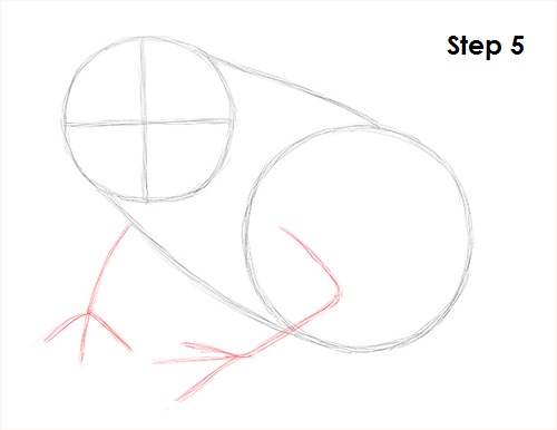 Toad Drawing 5 Draw Toad 5