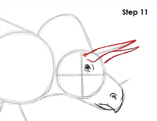 Draw Triceratops 11