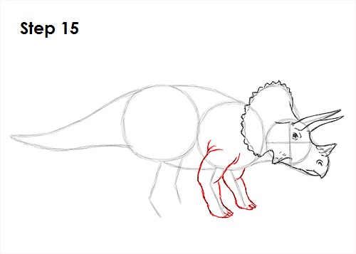 Draw Triceratops 15