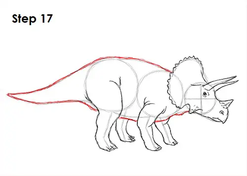 Draw Triceratops 17