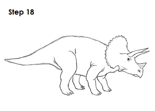 Triceratops Drawing 18 Draw Triceratops 18