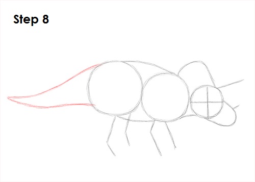 Draw Triceratops 8