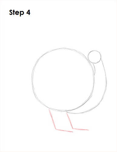 How to Draw a Turkey 4 Draw a Turkey 4