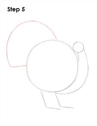How to Draw a Turkey 5 Draw a Turkey 5