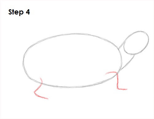 Turtle Drawing 4 Draw Turtle 4
