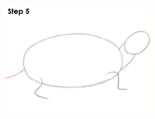 Turtle Drawing 5 Draw Turtle 5