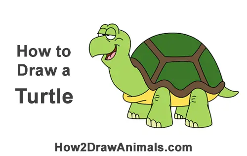 How to Draw Funny Goofy Cartoon Turtle Tortoise