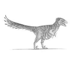 How to Draw an Accurate Velociraptor with Feathers