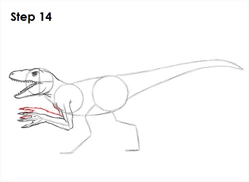 Draw a Velociraptor 14