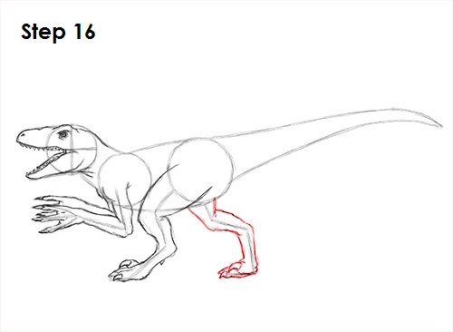Draw a Velociraptor 16