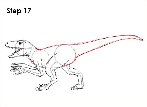 Draw a Velociraptor 17