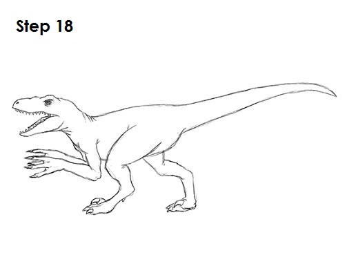 Draw a Velociraptor 18
